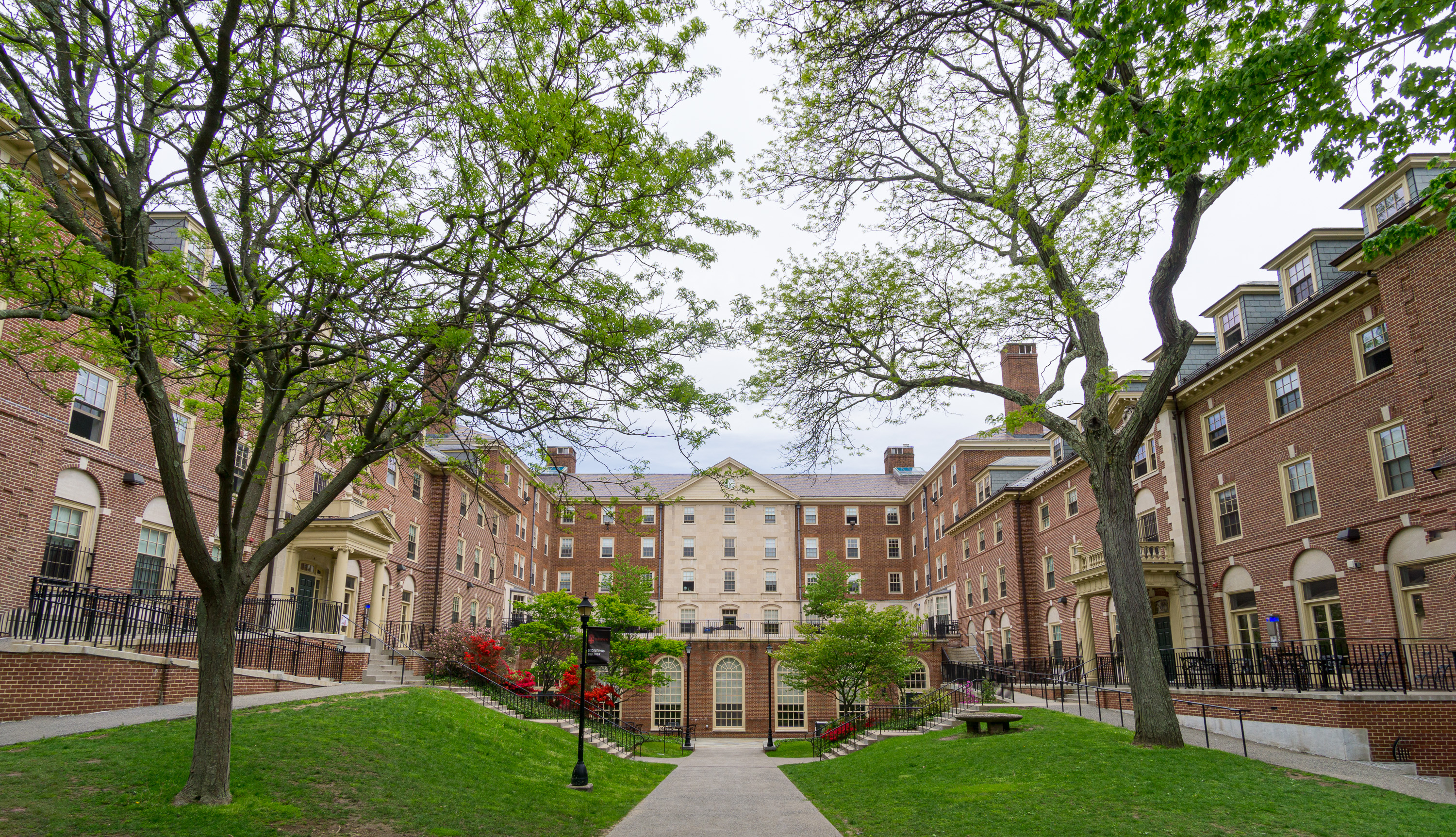 Brown University Professor Exposes Mass ChatGPT Cheating on Exam