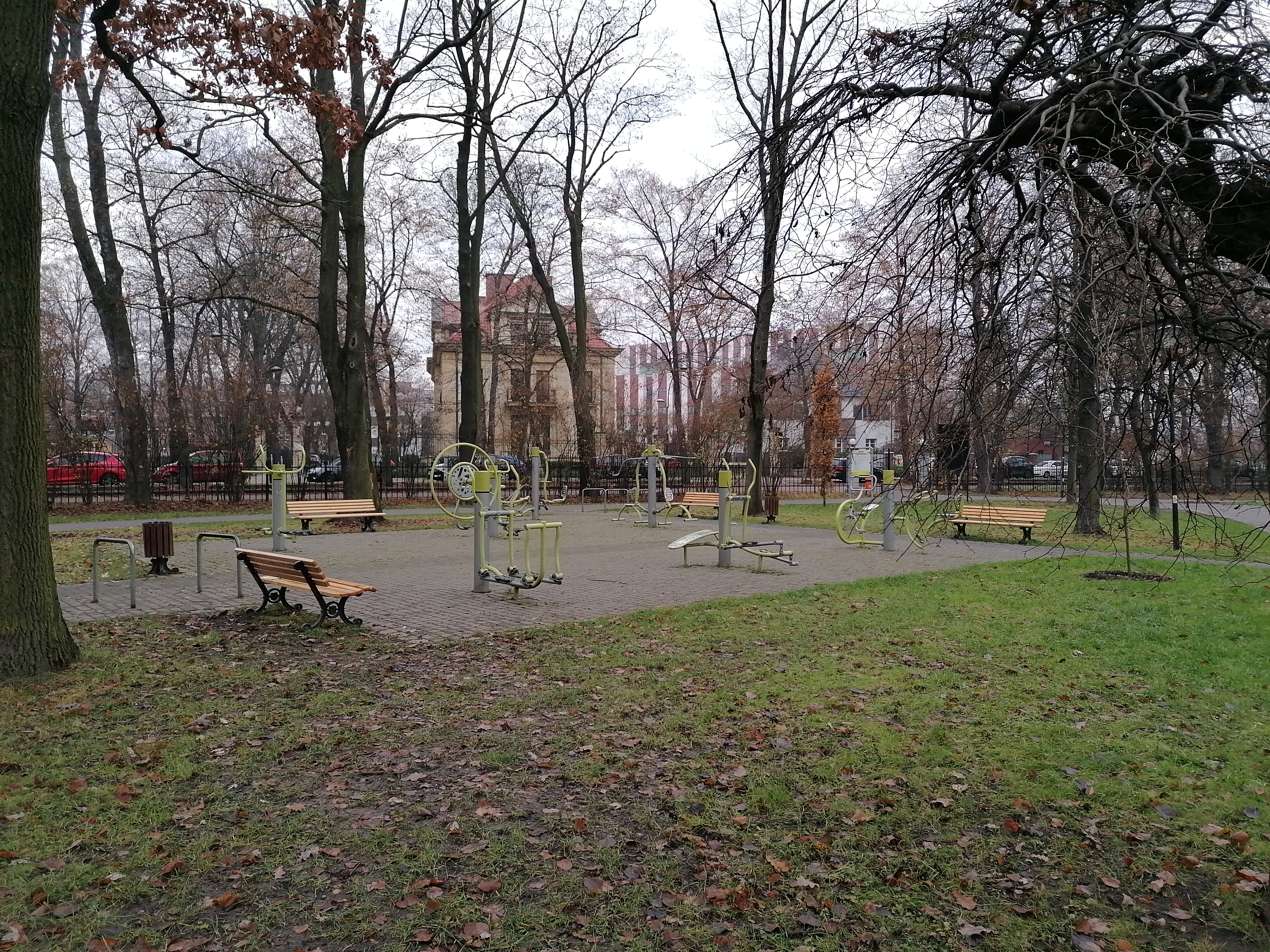 Gliwice Builds AI-Assisted Digital Twins of Its Street Trees