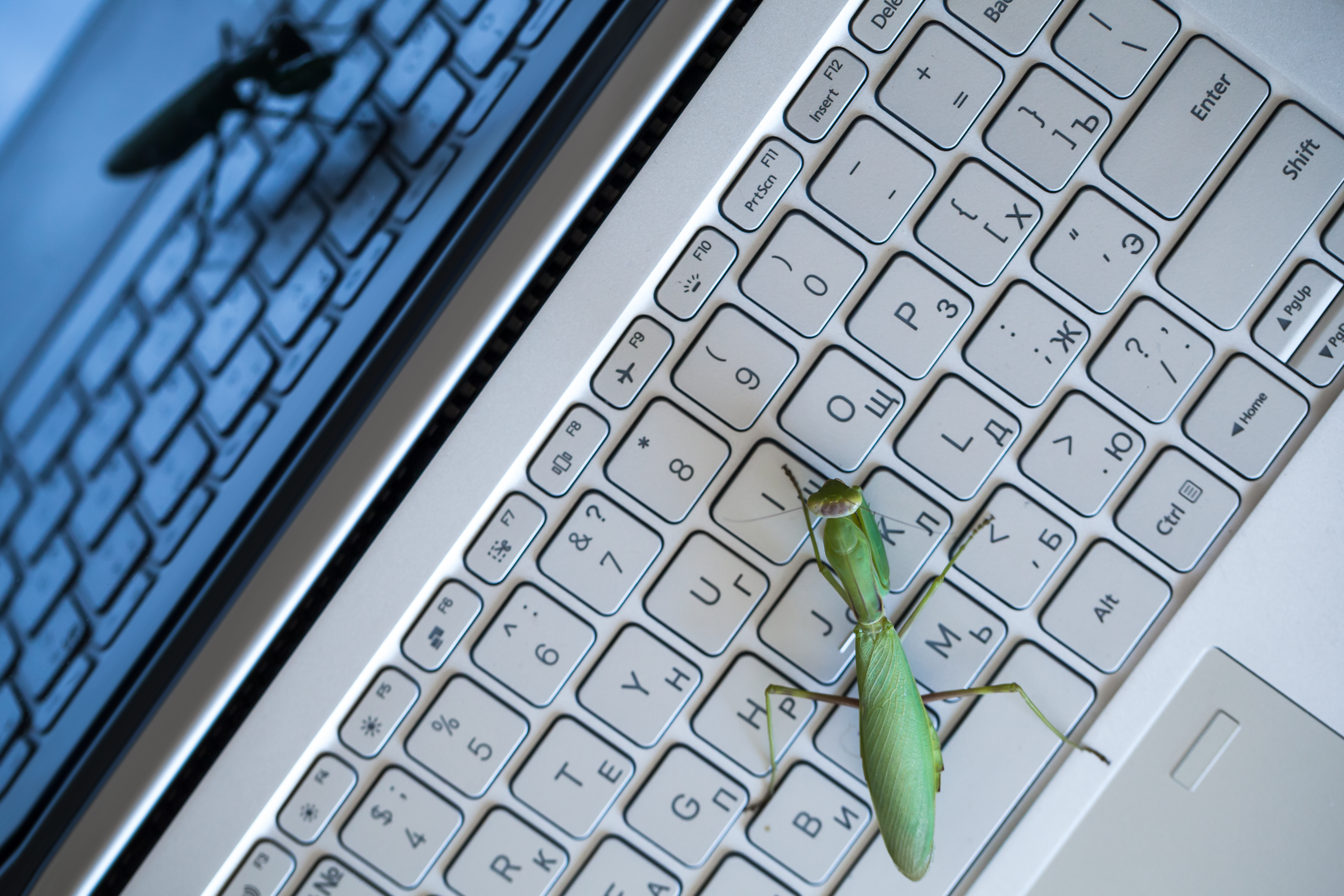 Google kończy z darmowymi narzędziami Gemini dla programistów