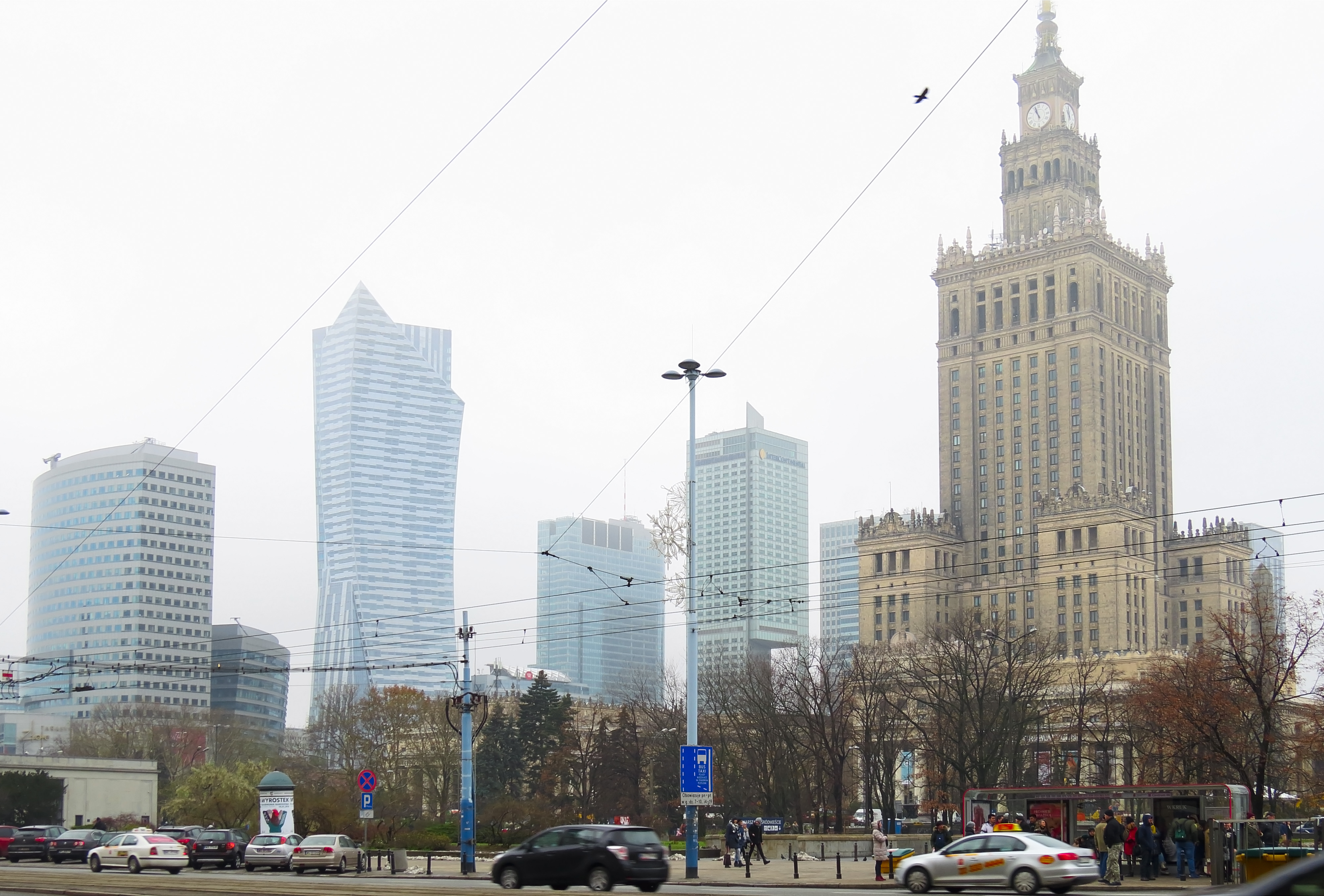 Polish Workers Rank Among World's Top AI Talent, Businesses Lag Behind